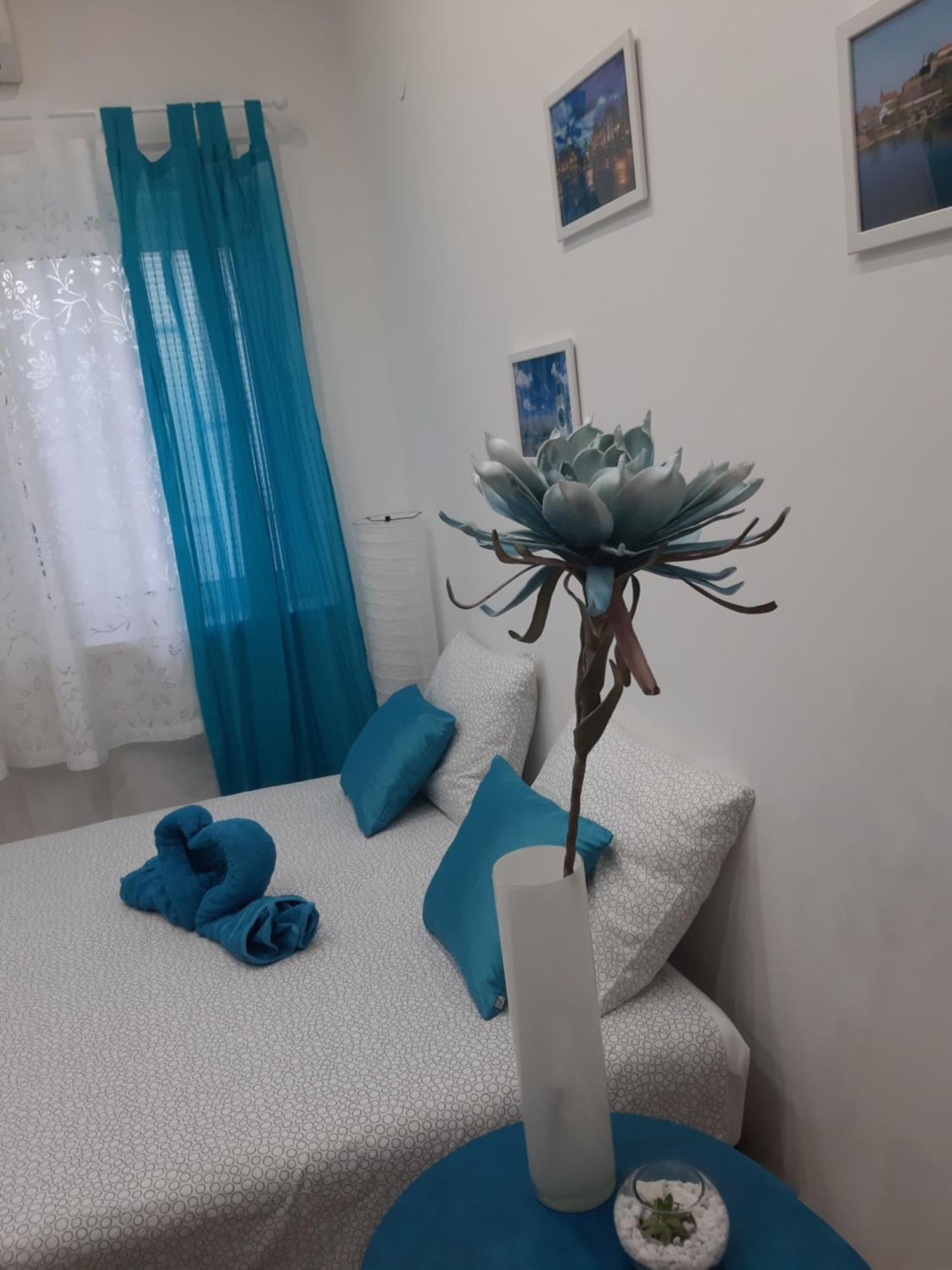 Fedra Leilighet Novi Sad Eksteriør bilde