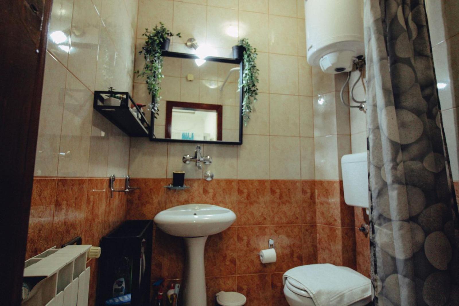 Fedra Leilighet Novi Sad Rom bilde